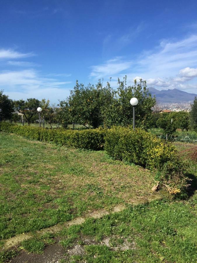 Desiderio D'Ammore Villa Corbara  Kültér fotó